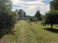 Eladó mezogazdasagi ingatlan, Baján 37.5 M Ft