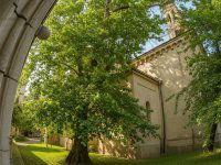 Eladó téglalakás, VIII. kerületben, Luther utcában 59.9 M Ft