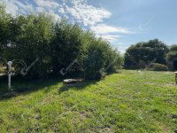 Eladó családi ház, Pándon 34 M Ft, 3 szobás