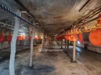 Eladó mezogazdasagi ingatlan, Csőszön 298 M Ft