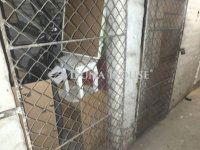 Eladó téglalakás, XXI. kerületben 52.9 M Ft, 2 szobás