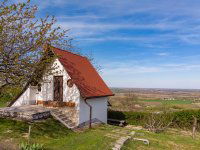 Eladó mezogazdasagi ingatlan