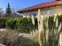 Eladó családi ház, Balatonalmádiban 184.99 M Ft, 6 szobás