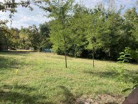 Eladó telek, Balatonfenyvesen 69.99 M Ft / költözzbe.hu