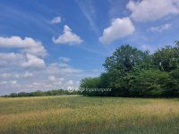 Eladó mezogazdasagi ingatlan, Dócon 1.59 M Ft