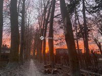 Eladó családi ház, Budakalászon 149 M Ft, 2 szobás