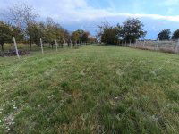 Eladó telek, Sopronban 11.9 M Ft / költözzbe.hu