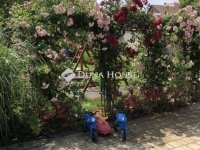 Eladó családi ház, Szegeden 289 M Ft, 6 szobás