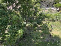 Eladó téglalakás, Gyálon 99.9 M Ft, 5 szobás