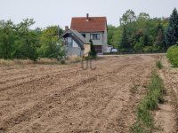 Eladó telek, Pusztahencsen 5.5 M Ft / költözzbe.hu