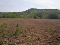 Eladó mezogazdasagi ingatlan, Rezin 2.4 M Ft / költözzbe.hu