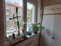 Eladó téglalakás, Pécsett 51.5 M Ft, 2 szobás