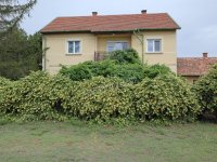 Eladó családi ház, Balástyán 79.9 M Ft, 5 szobás