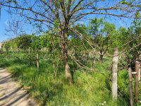 Eladó telek, Téten 8 M Ft / költözzbe.hu