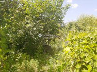 Eladó telek, Hatvanban 8 M Ft / költözzbe.hu