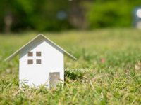 Eladó mezogazdasagi ingatlan