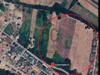 Eladó mezogazdasagi ingatlan, Szadán 8.5 M Ft