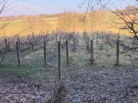 Eladó mezogazdasagi ingatlan, Ságváron 7 M Ft, 1 szobás