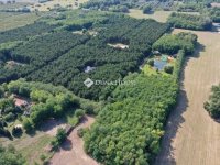 Eladó családi ház, Kecskeméten 359 M Ft, 10 szobás