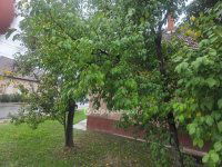 Eladó családi ház, Abonyban 41.9 M Ft, 4 szobás