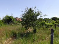Eladó telek, Homokbödögén 4.5 M Ft / költözzbe.hu