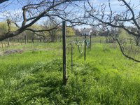 Eladó családi ház, Abonyban 25 M Ft, 2 szobás