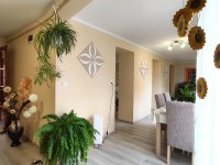 Eladó családi ház, Tolnán, Magaspart utcában 37 M Ft, 2 szobás