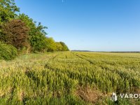 Eladó mezogazdasagi ingatlan, Pátyon 16.4 M Ft