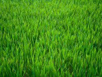 Eladó telek, Zalaegerszegen 10.9 M Ft / költözzbe.hu