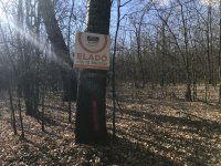 Eladó mezogazdasagi ingatlan, Tápióbicskén 18.9 M Ft