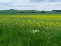 Eladó mezogazdasagi ingatlan