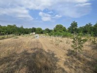 Eladó mezogazdasagi ingatlan, Ladánybenén 19.9 M Ft, 1 szobás