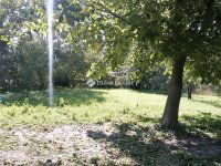 Kiadó családi ház, albérlet