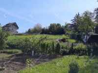 Eladó telek, Zalaegerszegen 8 M Ft / költözzbe.hu