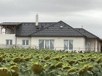 Eladó családi ház, Szentkirályszabadján, Erdő sétányon