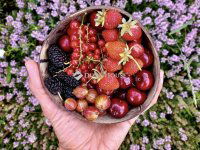 Eladó telek, Pécsett 47 M Ft / költözzbe.hu