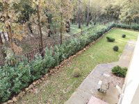 Kiadó téglalakás, albérlet