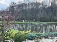 Eladó nyaraló, Domonyban 239.9 M Ft, 4 szobás