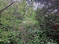 Eladó családi ház, Gödöllőn 59.9 M Ft, 3 szobás
