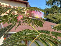 Eladó családi ház, III. kerületben 220 M Ft, 6 szobás