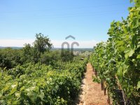 Eladó telek, Tatabányán 1.4 M Ft / költözzbe.hu