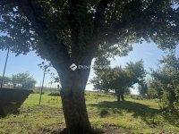 Eladó telek, Felcsúton 22 M Ft / költözzbe.hu