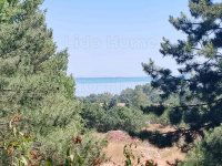 Eladó mezogazdasagi ingatlan, Balatonalmádiban 260 M Ft