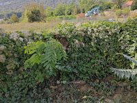 Eladó telek, III. kerületben 255 M Ft / költözzbe.hu