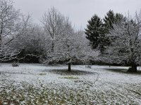 Eladó telek, Budakeszin 69 M Ft / költözzbe.hu