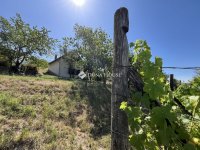 Eladó mezogazdasagi ingatlan, Berhidán 12.5 M Ft, 1 szobás