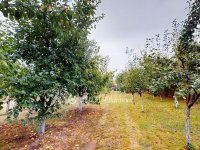 Eladó családi ház, Alsóvadászon 38.5 M Ft, 4 szobás