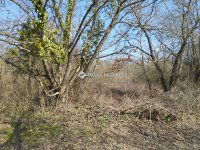 Eladó telek, Őrbottyánban 18 M Ft / költözzbe.hu