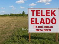 Eladó telek, Magyarhomorogon 2.99 M Ft / költözzbe.hu