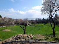 Eladó mezogazdasagi ingatlan, Paloznakon 88.9 M Ft
